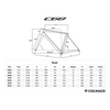 Colnago C68 Road 2024 Disc (Kleur HRRG) - Complete bouw