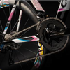 Colnago V4Rs Limited Edition Tadej