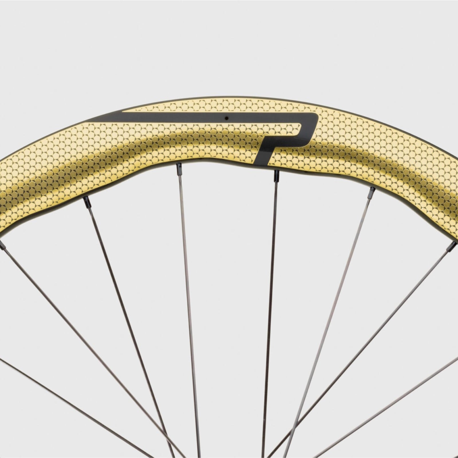 Princeton Carbonworks Peak 4550 Evolution Wielset